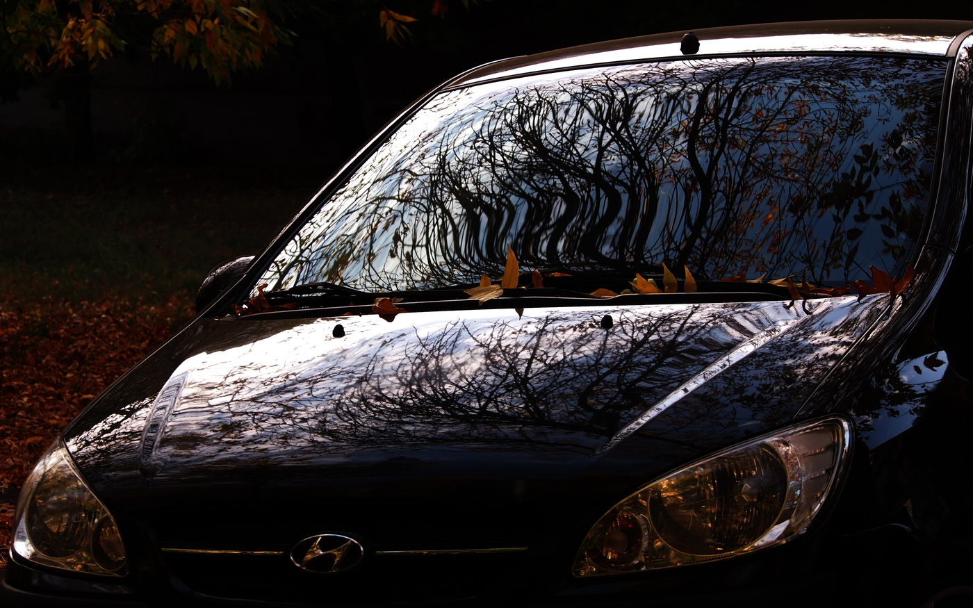 Reflexion der Herbst