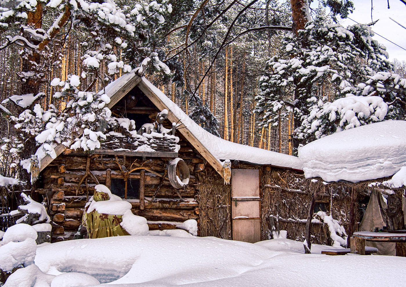 Im Wald am Rande ...