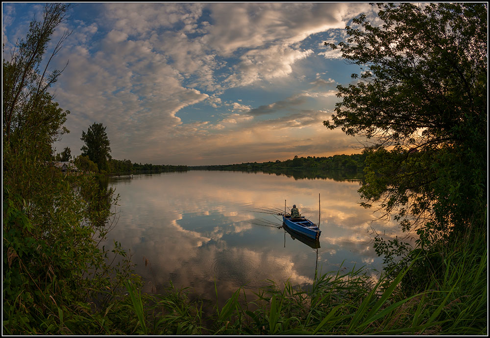Nicht in Fisch Glück