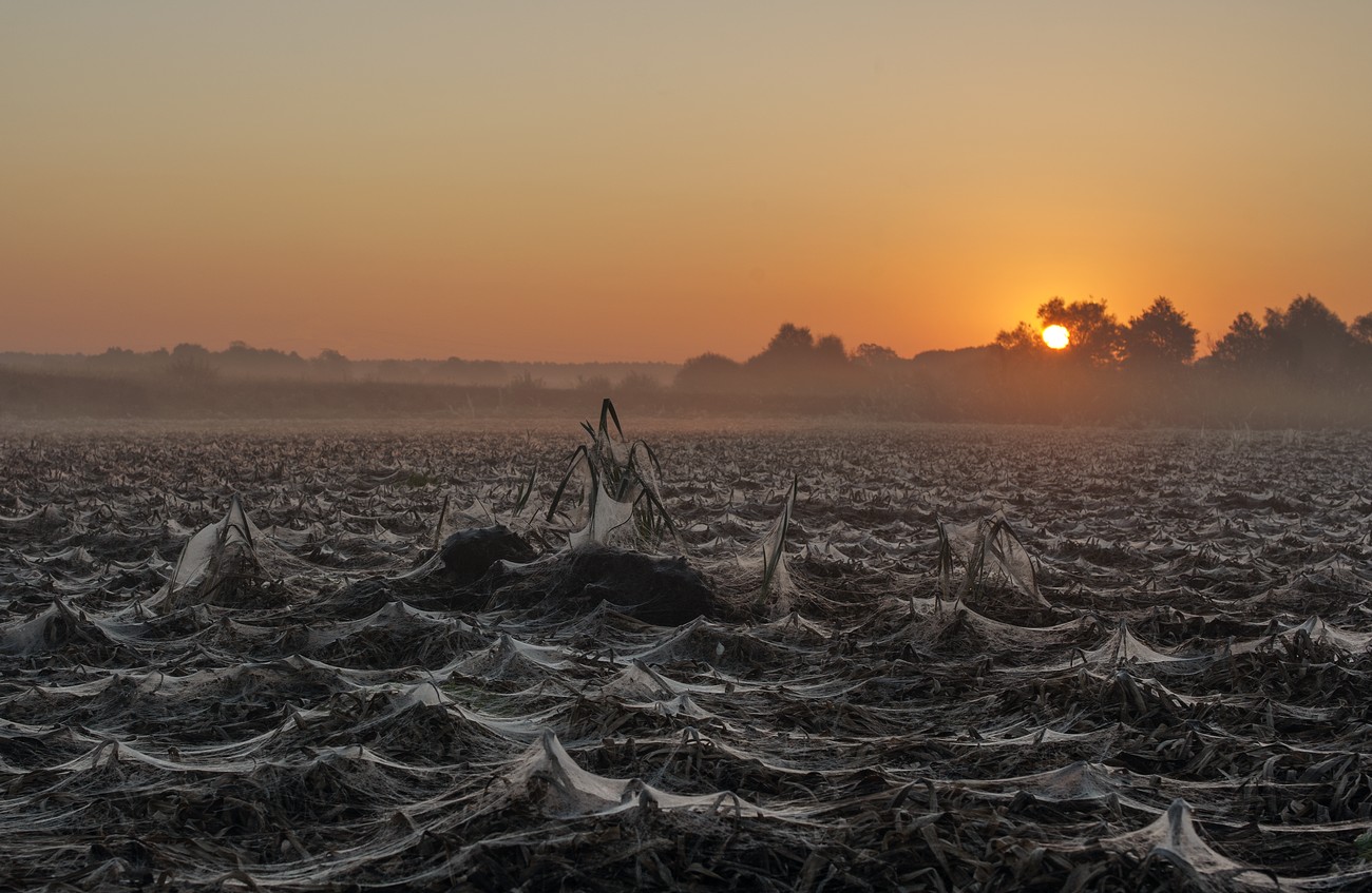 Paukova Bauernhof ...