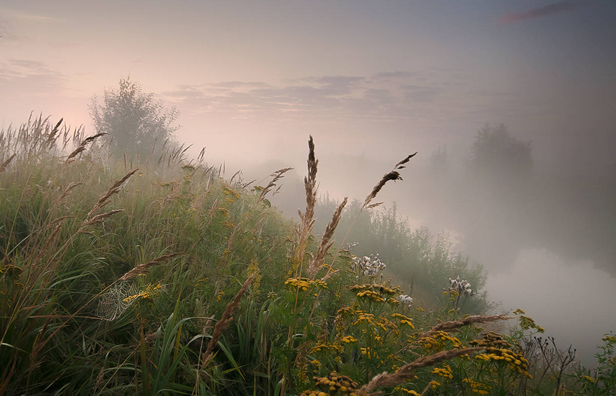 ** Einfaches unauffällig ... *