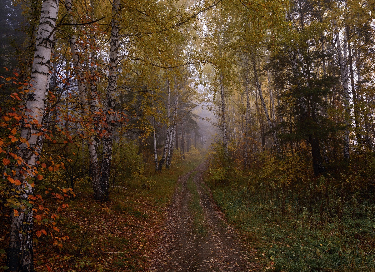 Nach Angaben der Forststraße.