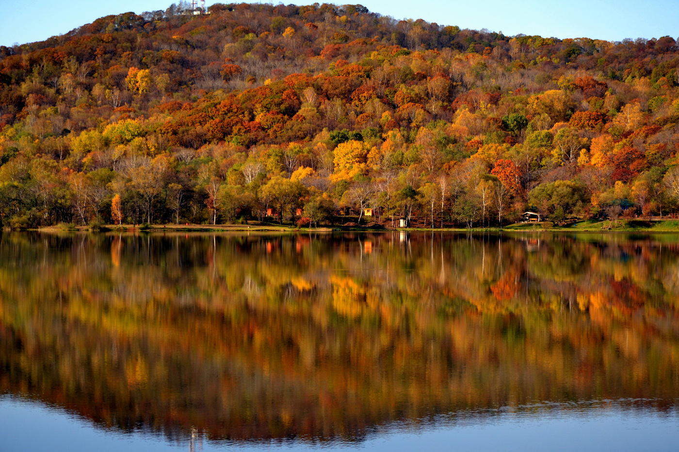 Alle im Purpur und Gold ...