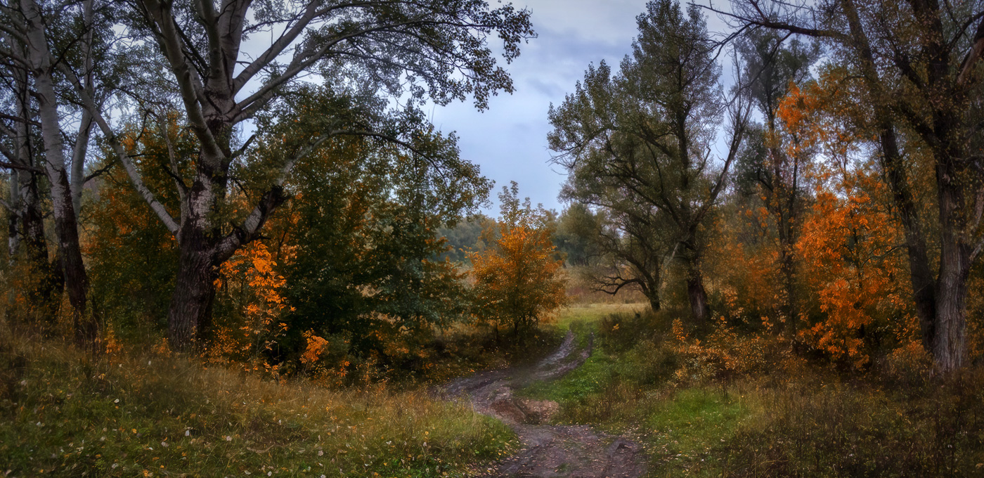 Tales regnerischen Herbst