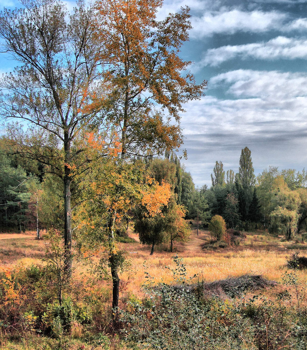 Rendezvous mit dem Fall