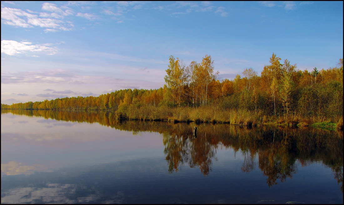 Birch stehen in einer Reihe und in den Spiegel schauen ...