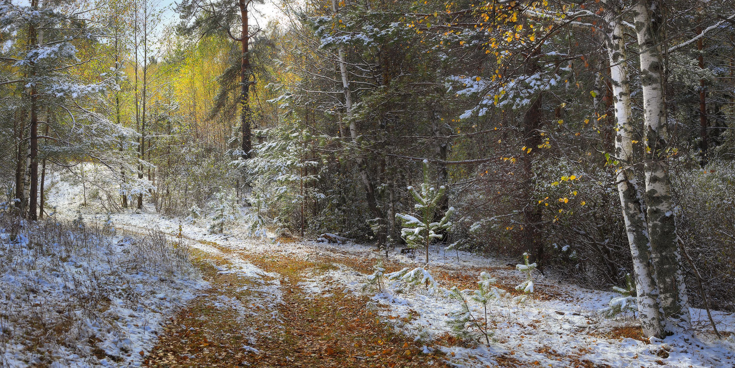 Etude mit dem ersten Schnee