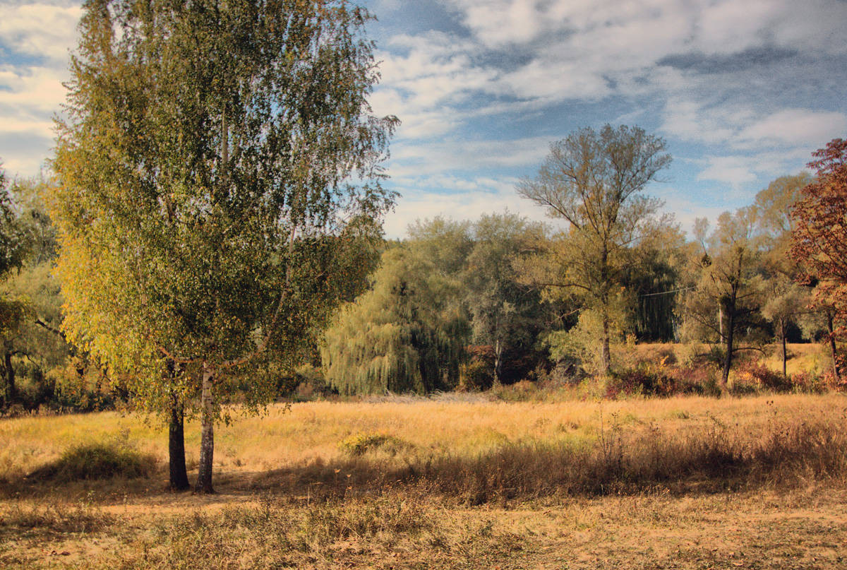 Herbst rothaarige Freundin