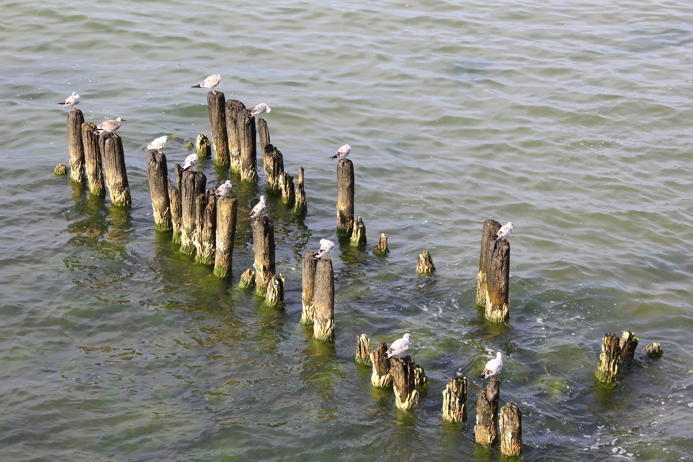 Die Frist vor dem Flug.