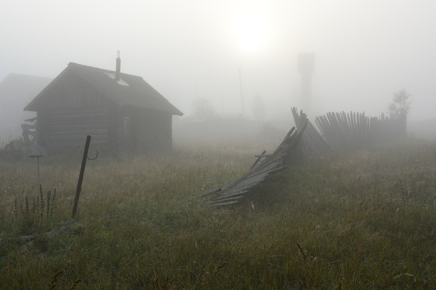 Und die Stimme der anderen Hähne ...