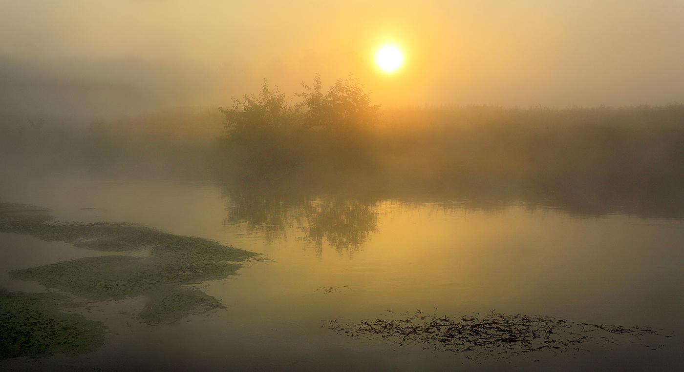 Dämmerung nebligen 6. September ... ..