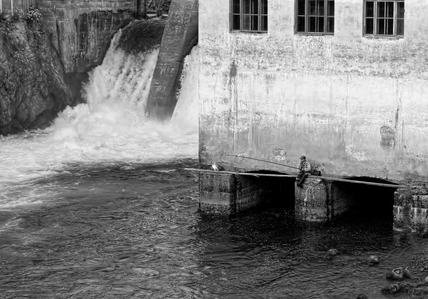 Birds of a Feather Herde zusammen.