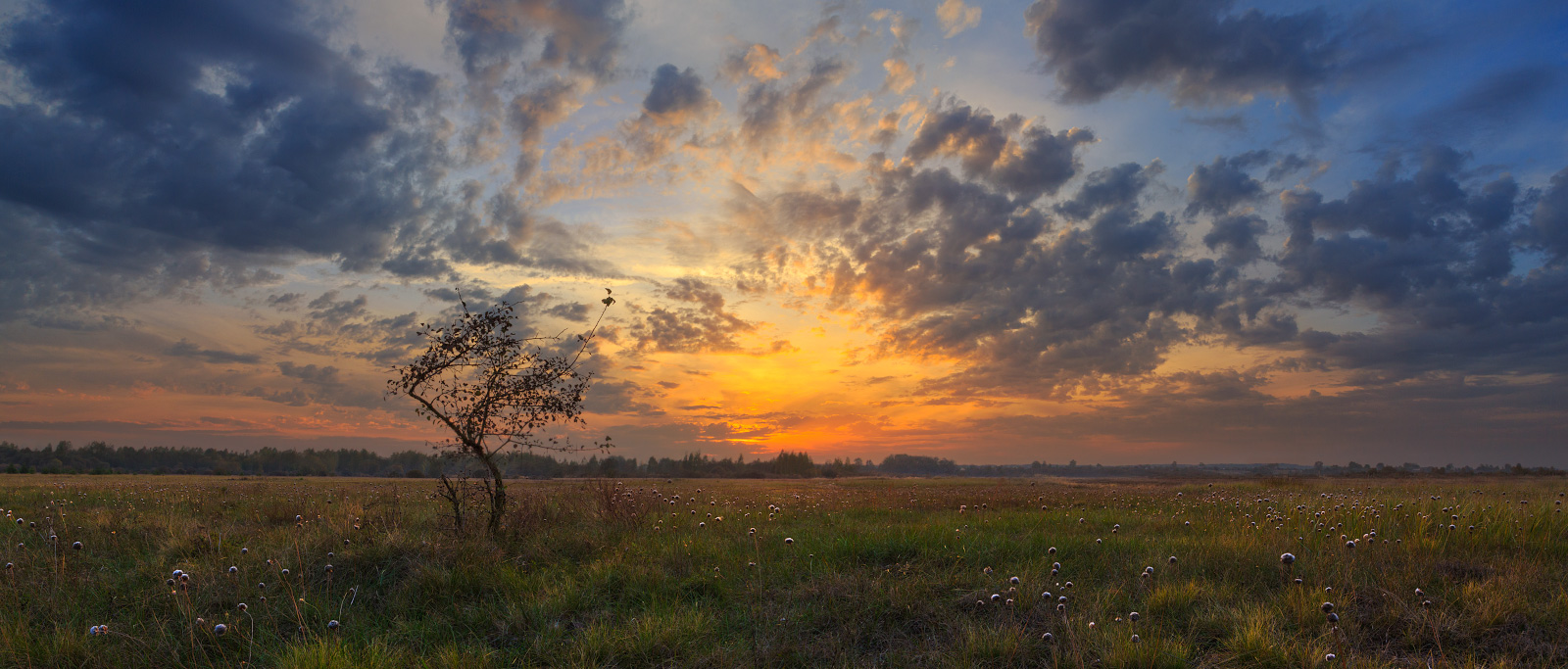 Sonnenuntergang über der Wiese im Oktober