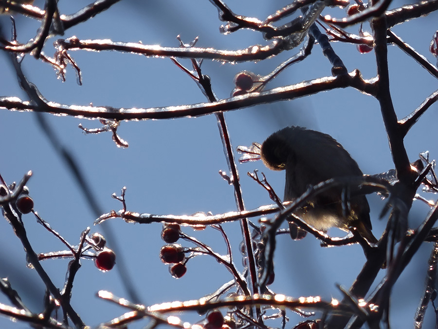 Das Märchen von der Prinzessin aufgegeben