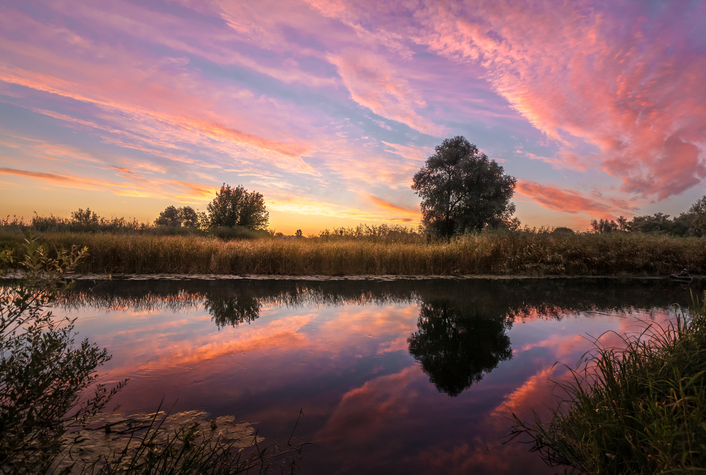 Rdyany dawn Locken ...