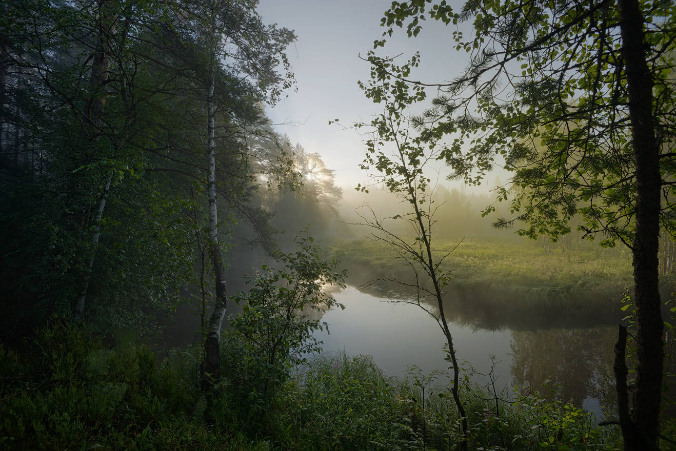 50 Schattierungen von Grün