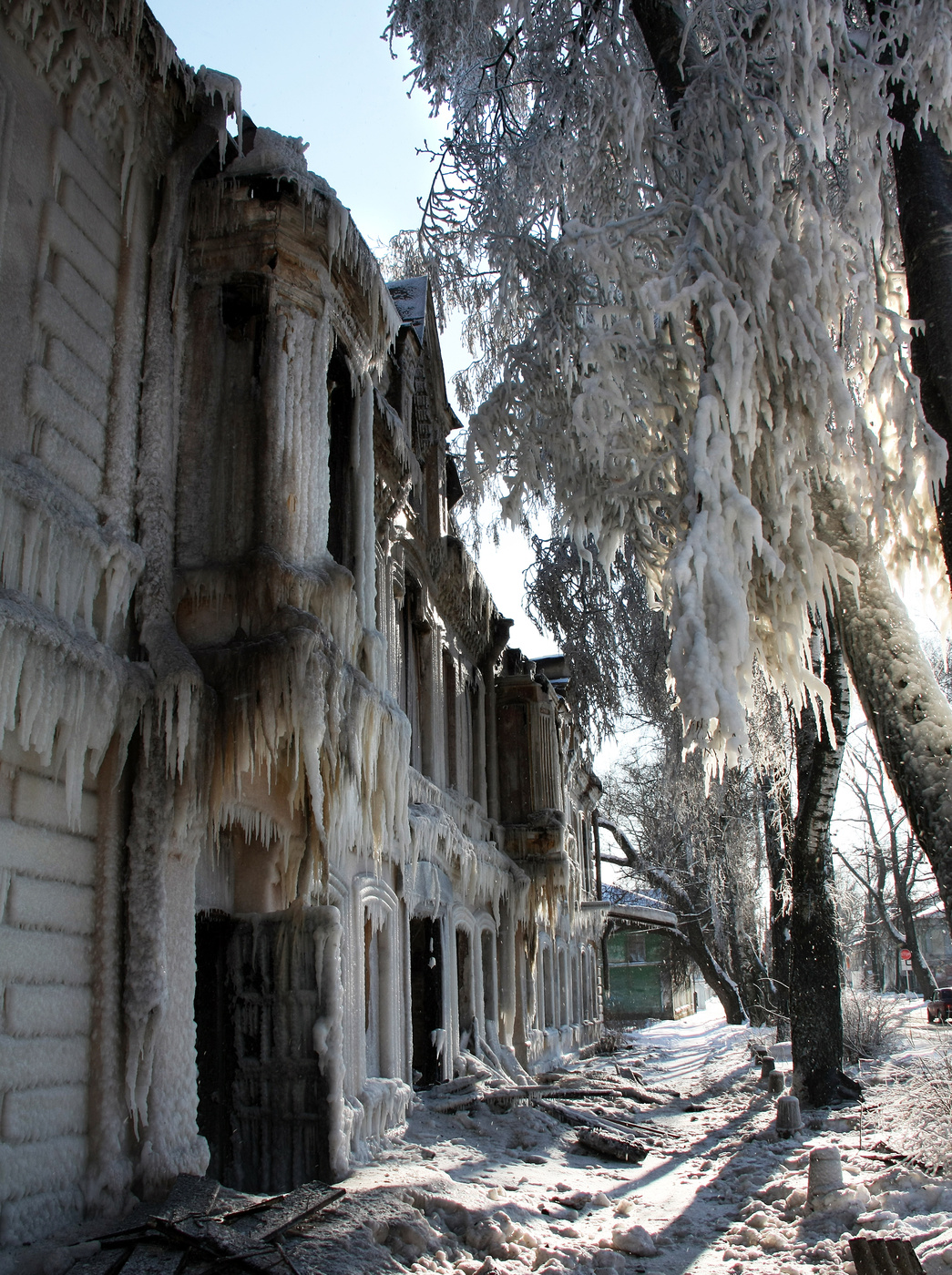 Eine schreckliche Schönheit