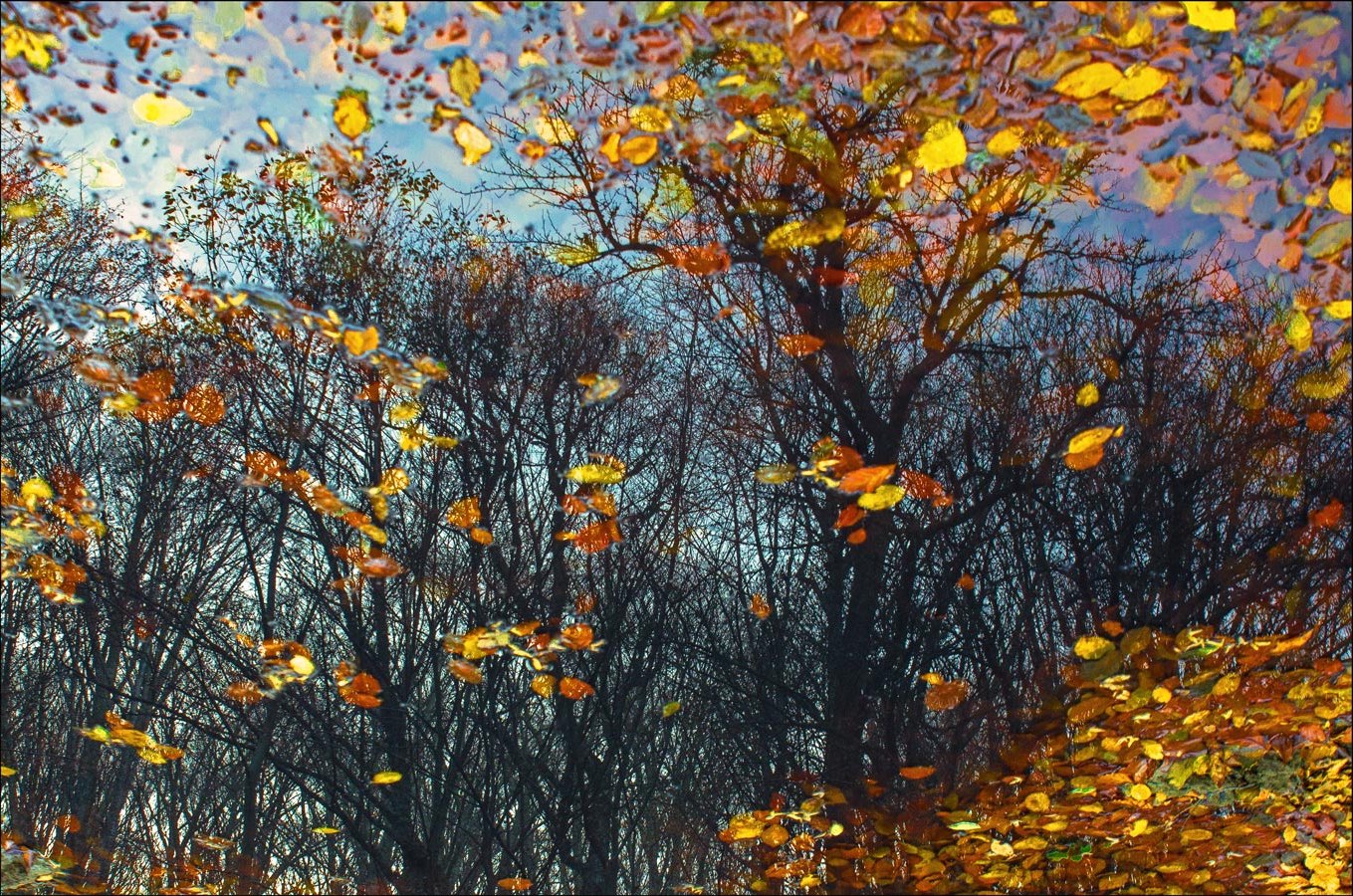 Gelbes Blatt im Fluss ertrunken Sommer .....
