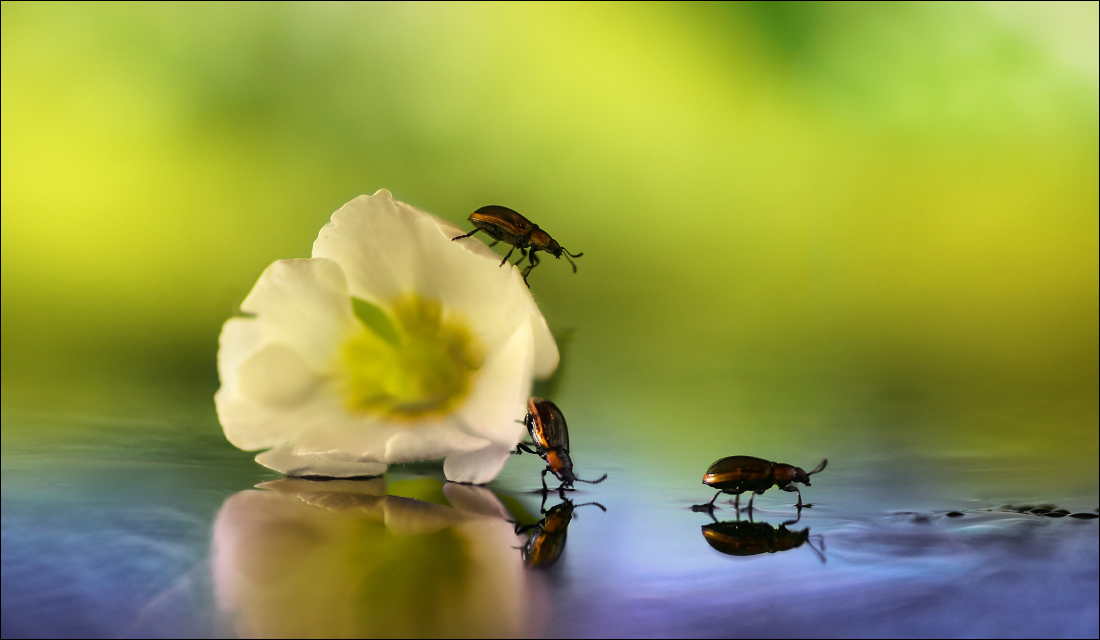 Normale Zeichen werden immer umgehen ...