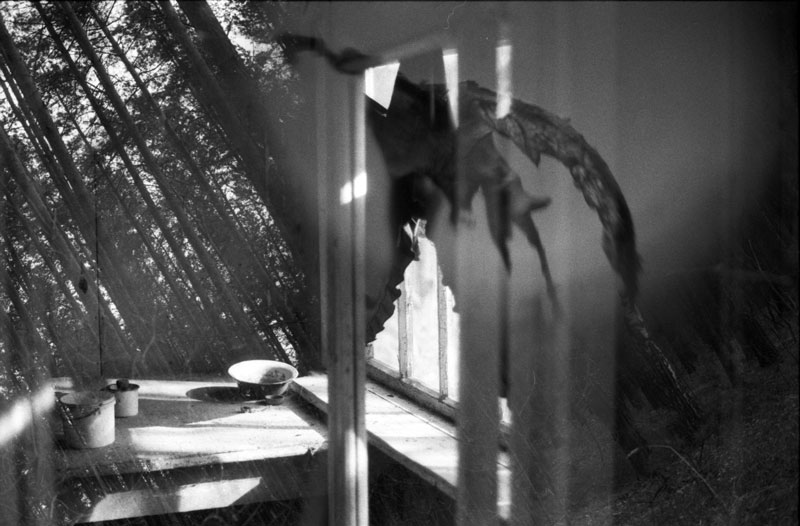 Wo ist die Straße, wo dieses Haus