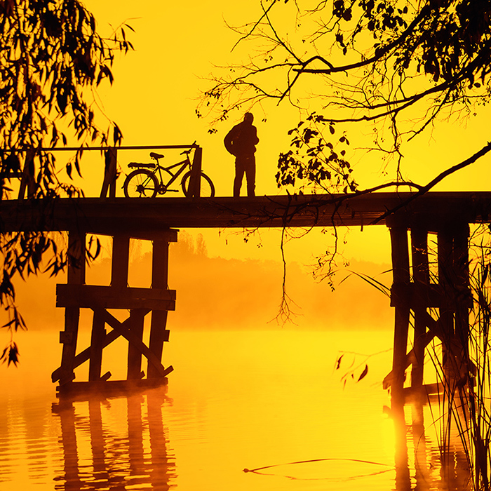 Kanarienvogel Morgen