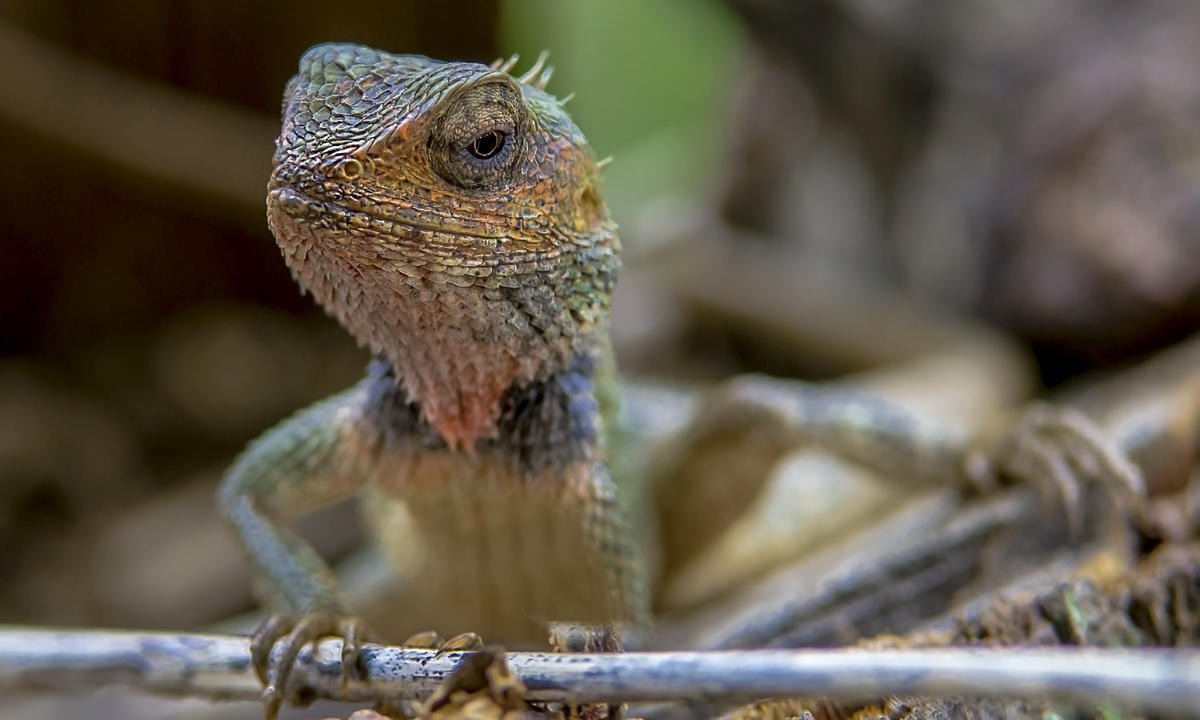 Hallo! Und hier bin ich!