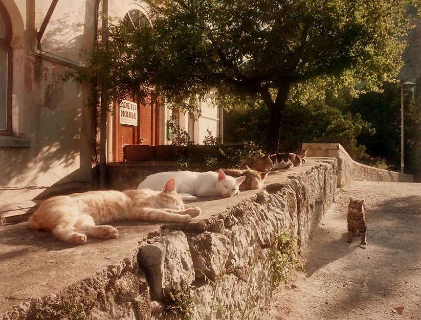 Wo ist die Straße, wo dieses Haus?