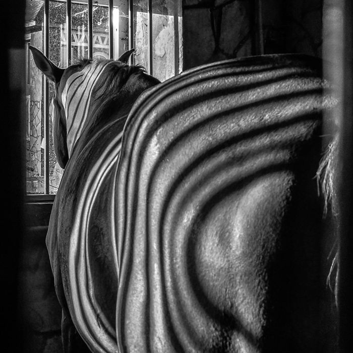 New Horizons Auswahl