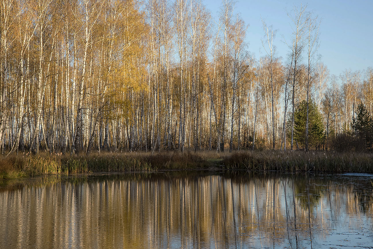Herbst Überlegungen