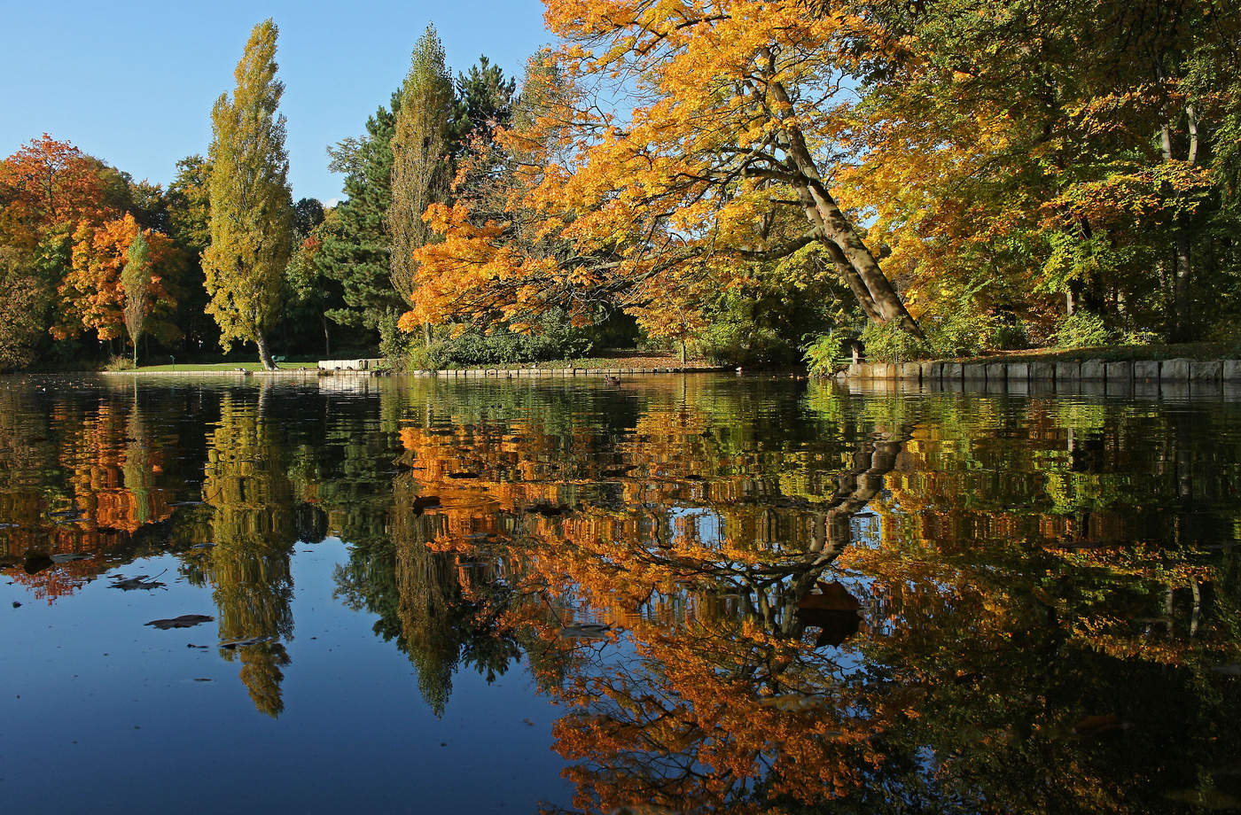 Herbst bewundert in den Spiegel