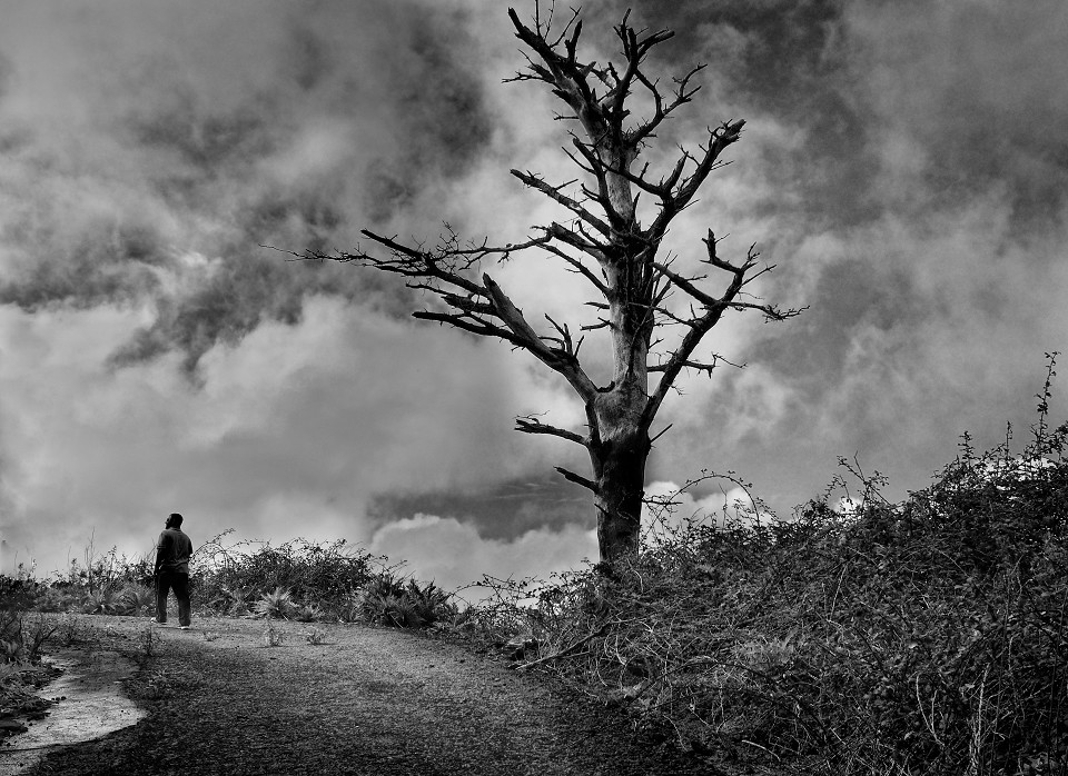 Suchen Sie nach Dreh