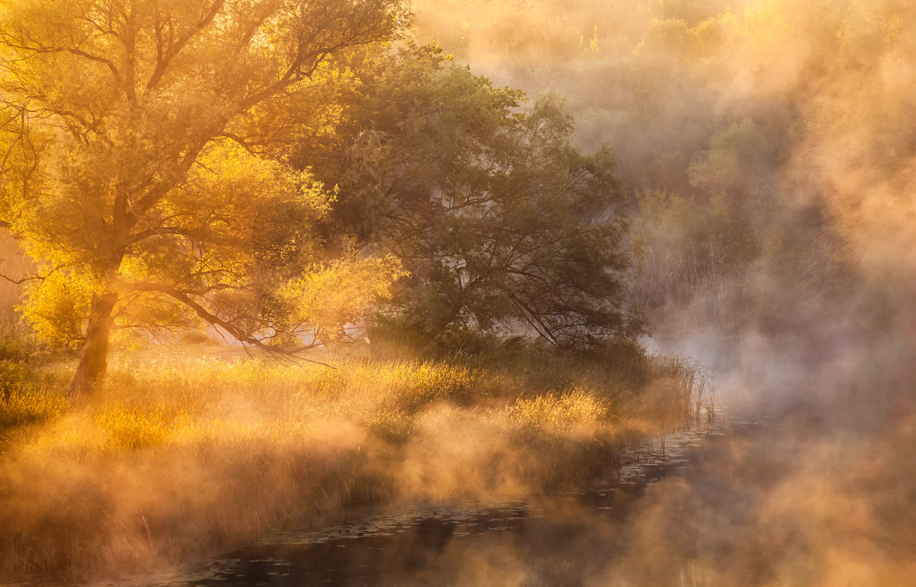 Zwischen Herbst und Sommer