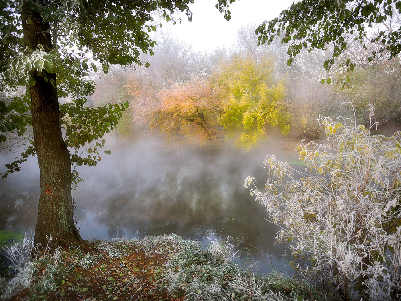 Frosty Morgengrauen im Oktober .... 2.