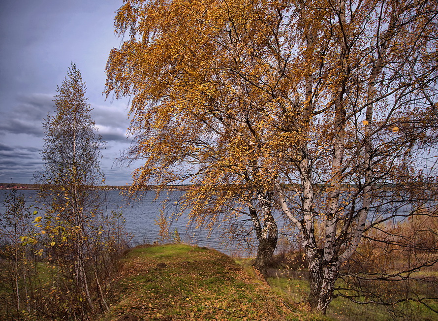 "Geht hinaus in die Wolga ..."