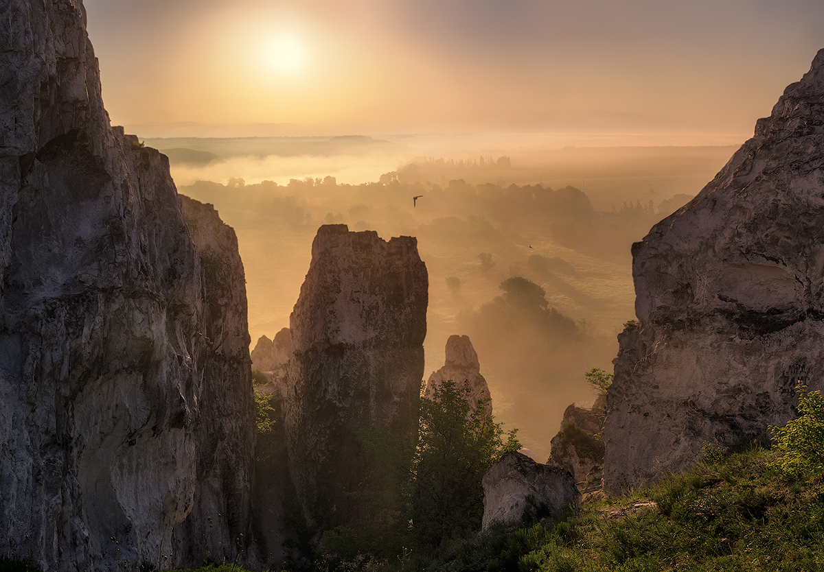 Am Vorabend von Mittelerde