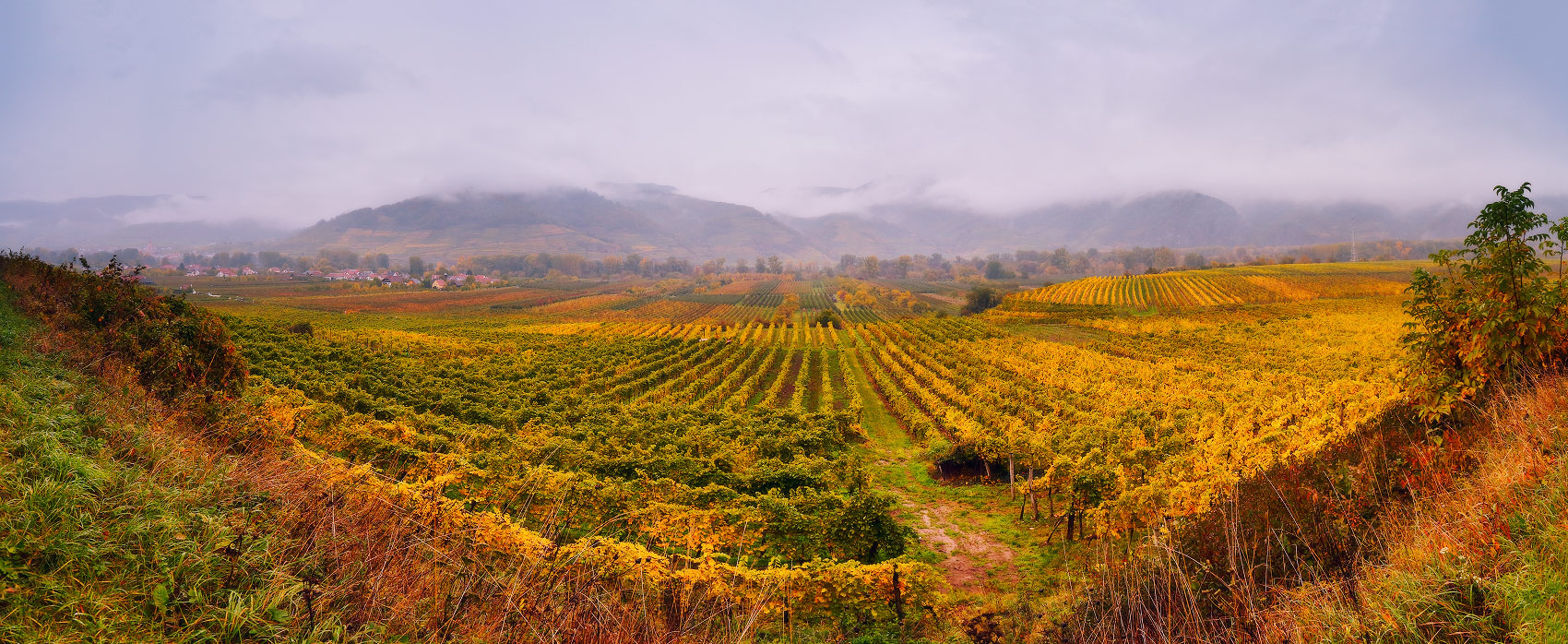 Bewölkt Herbst in der Wachau