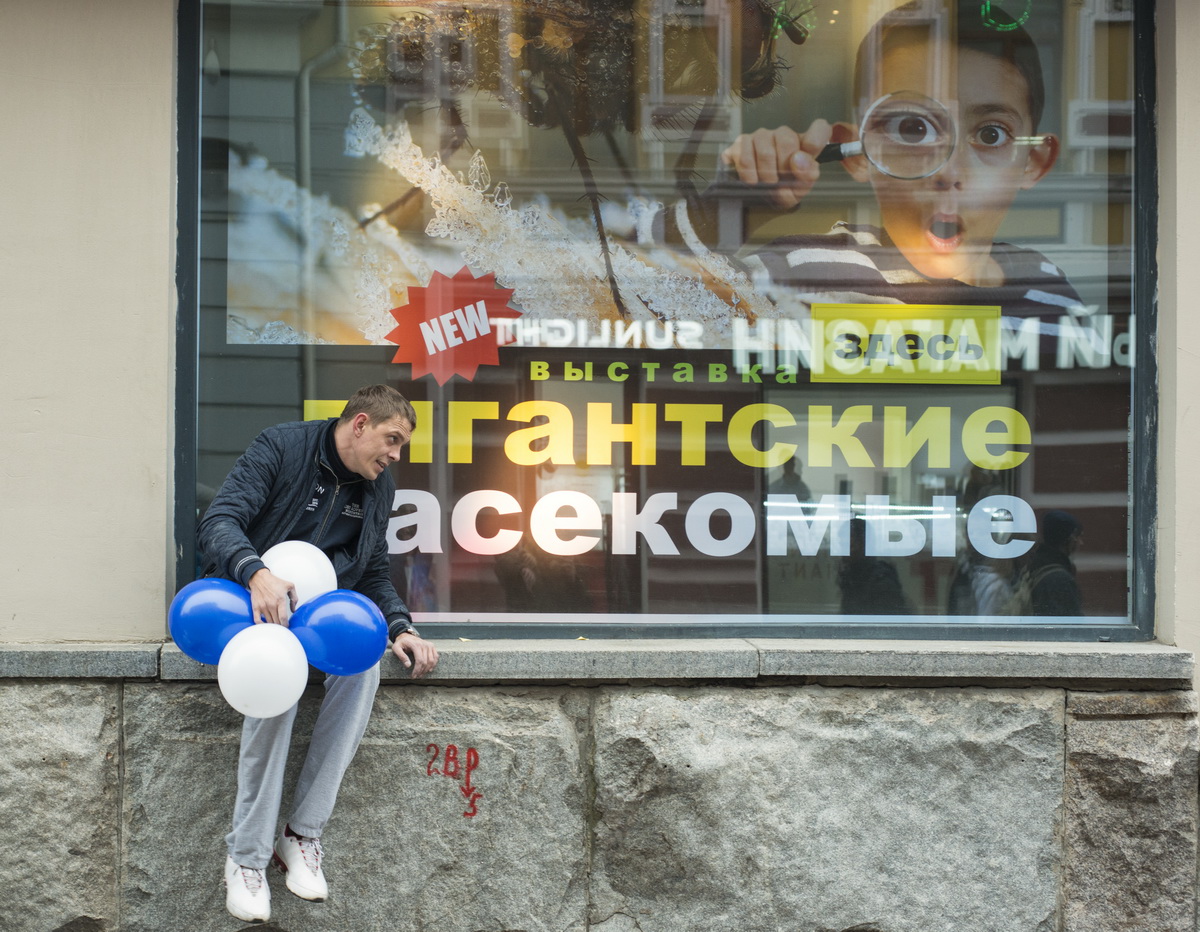 Aus dem Leben der Rieseninsekten