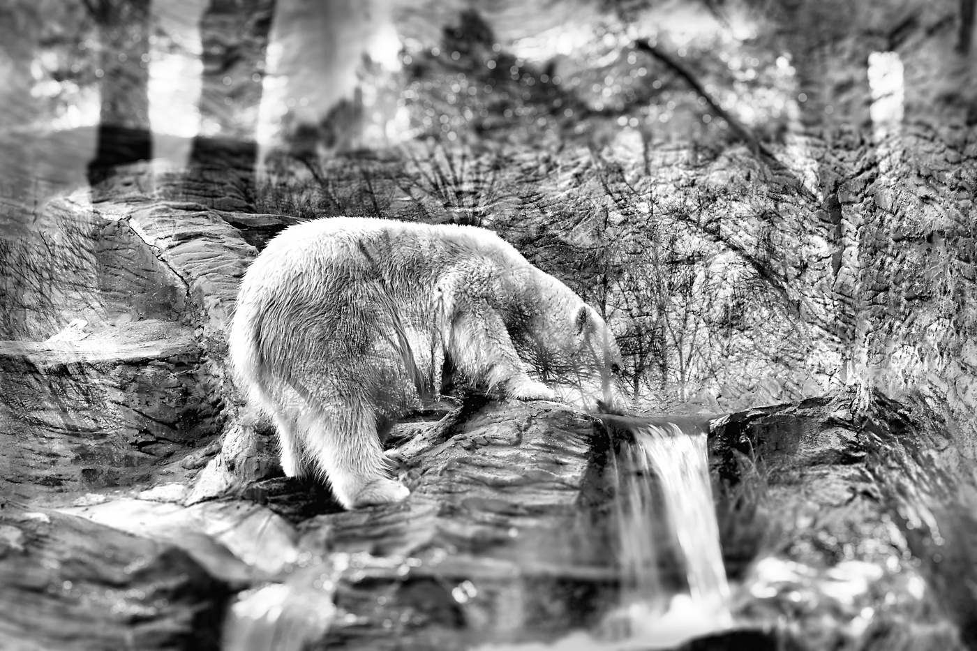 Kristall Illusions ...