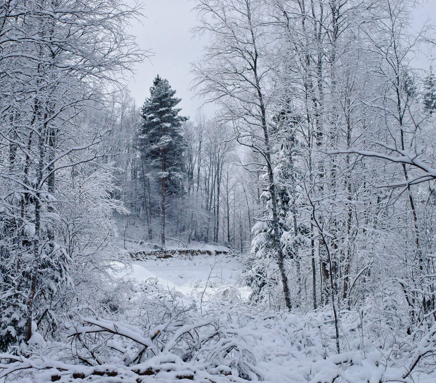 Und bald wieder Winter ...