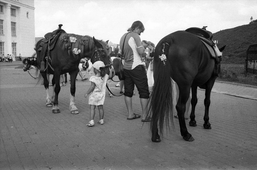 [b] Takprosto [/ b], über Pferde