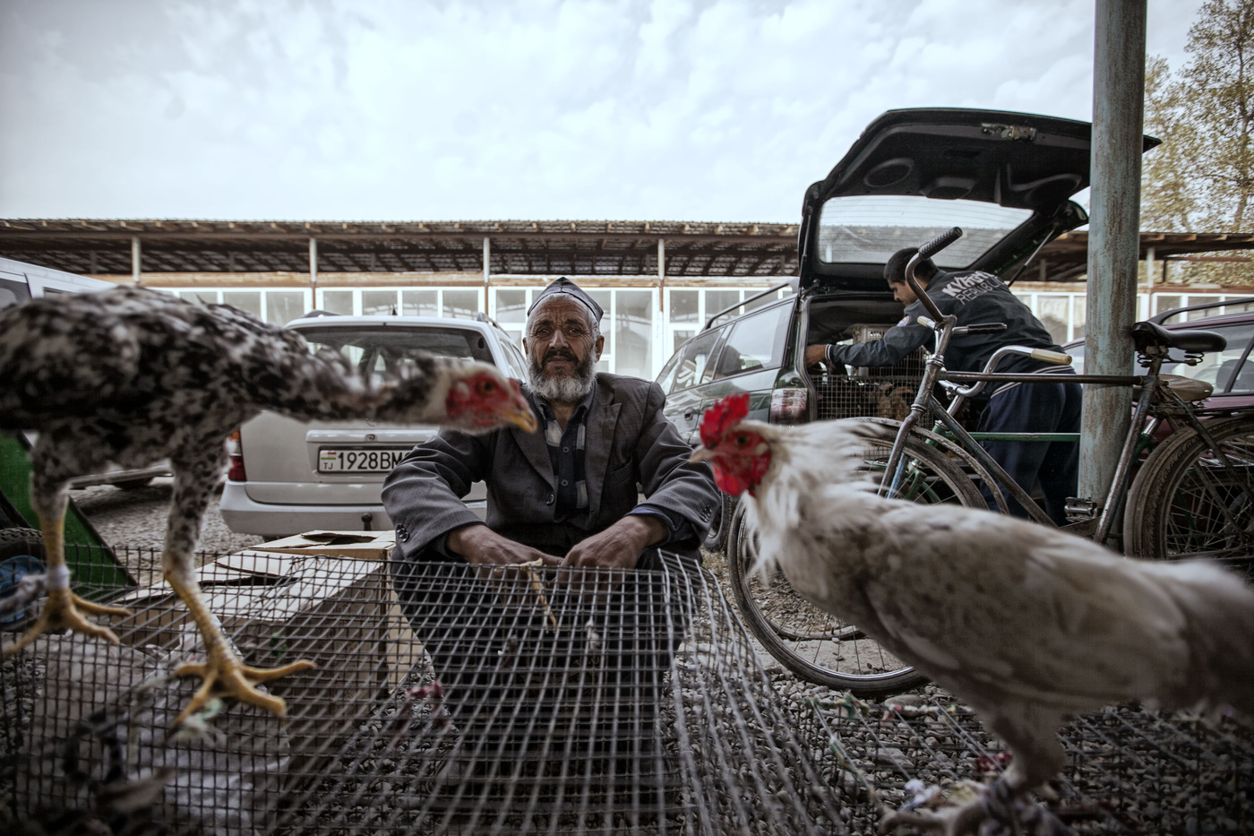 Verkäufer Hähne. Dushanbe. Tadschikistan