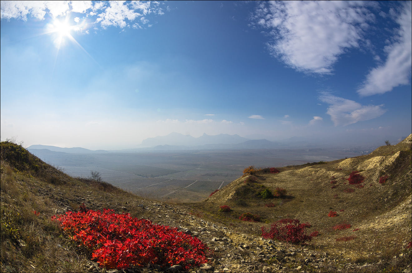 Flames Rauch Baum auf Klementeva ...