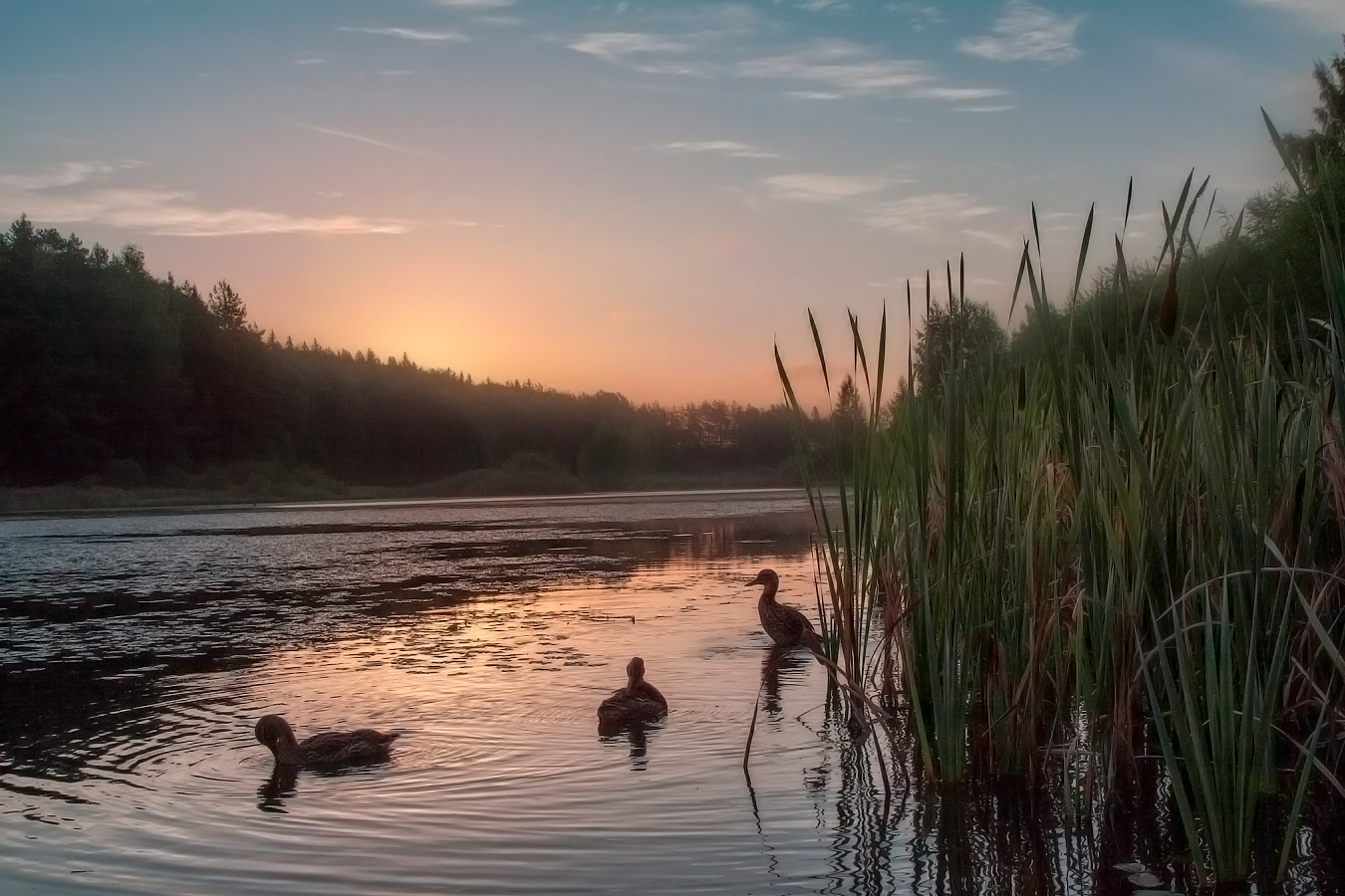 Wir erwarten, dass Sonnen