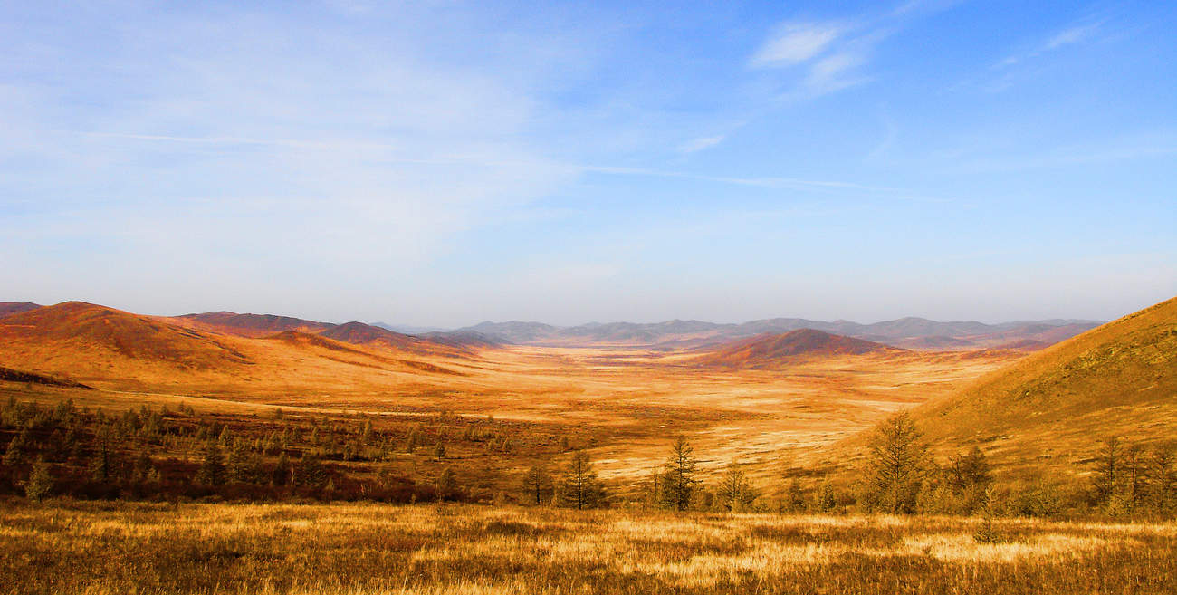 Mongolischen Steppe