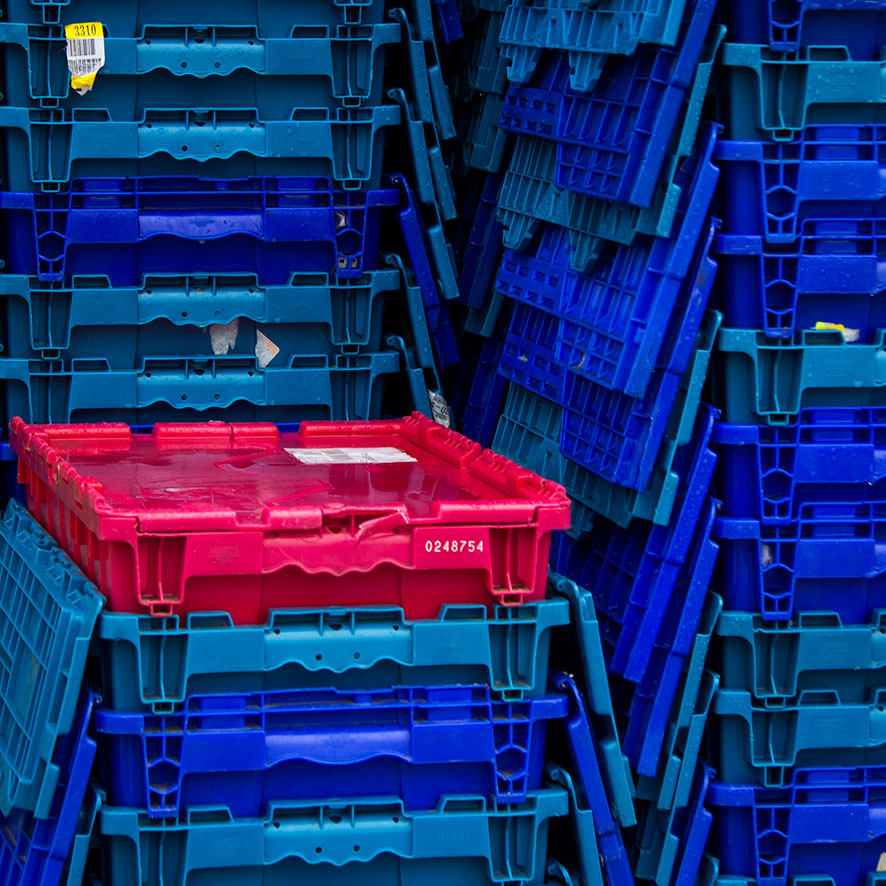 Ausnahme von der Regel