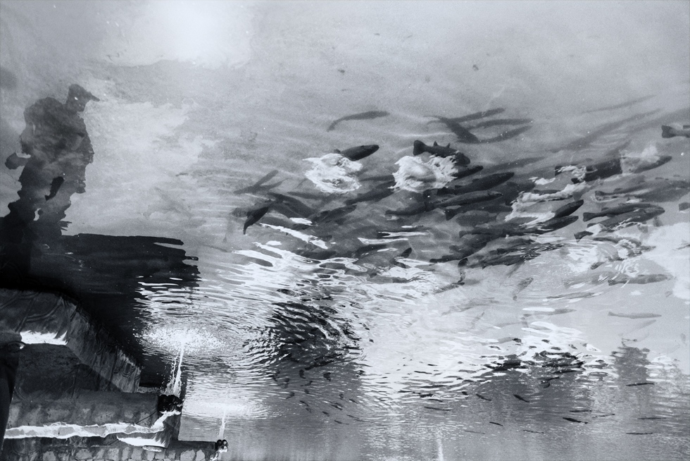 Ausnahme von der Regel