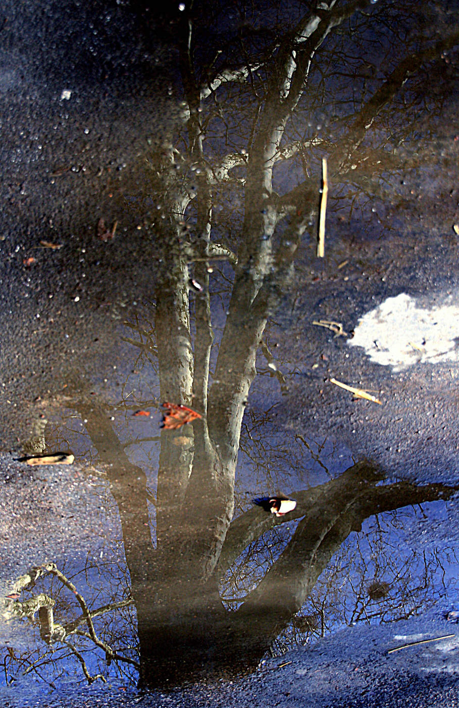 Ausnahme von der Regel