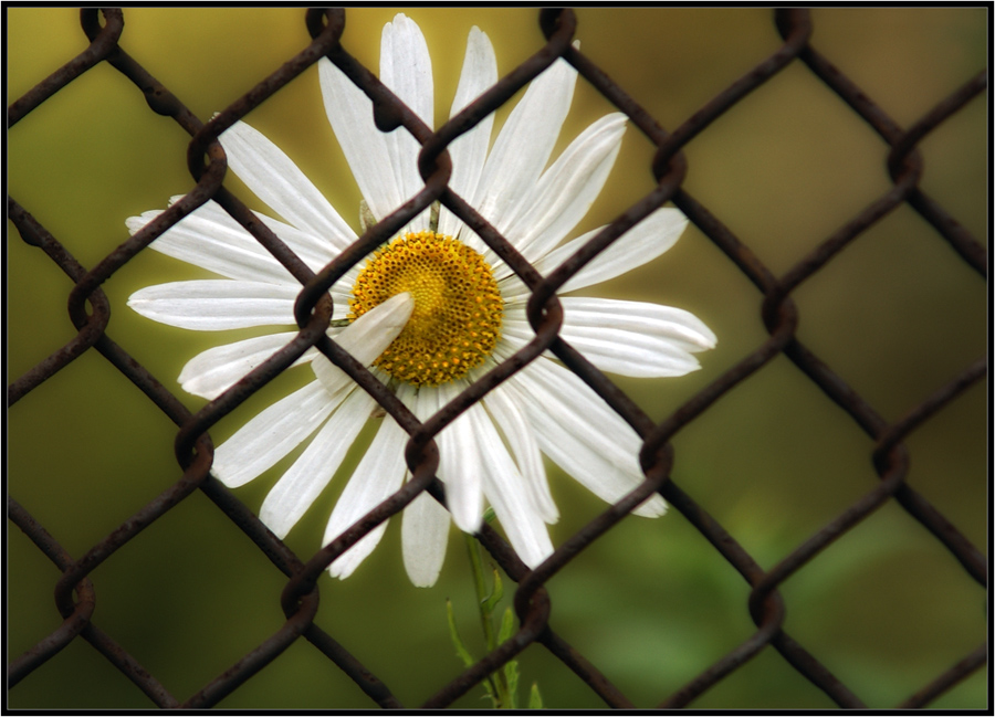 Ausnahme von der Regel