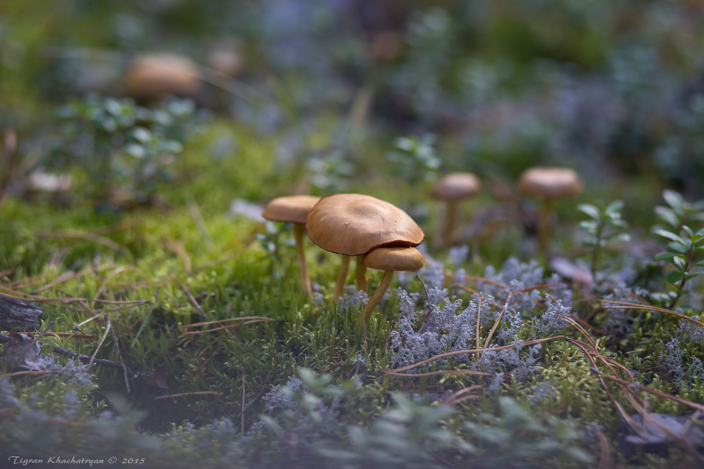 Ausnahme von der Regel