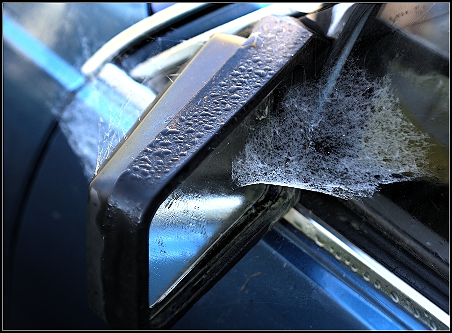 Ausnahme von der Regel